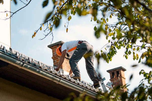 Beverly Hills, CA Roofing Contractor Company